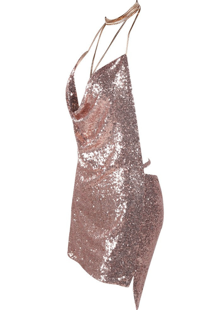 Rose Sexy Halter Twist Neck Sleeveless Backless Tankini