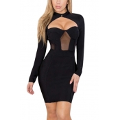 Sexy Round Neck Long Sleeves Hollow-out Black Poly