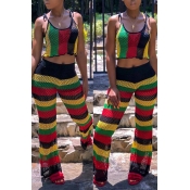 Lovely Casual Striped Multicolor Spandex Two-piece