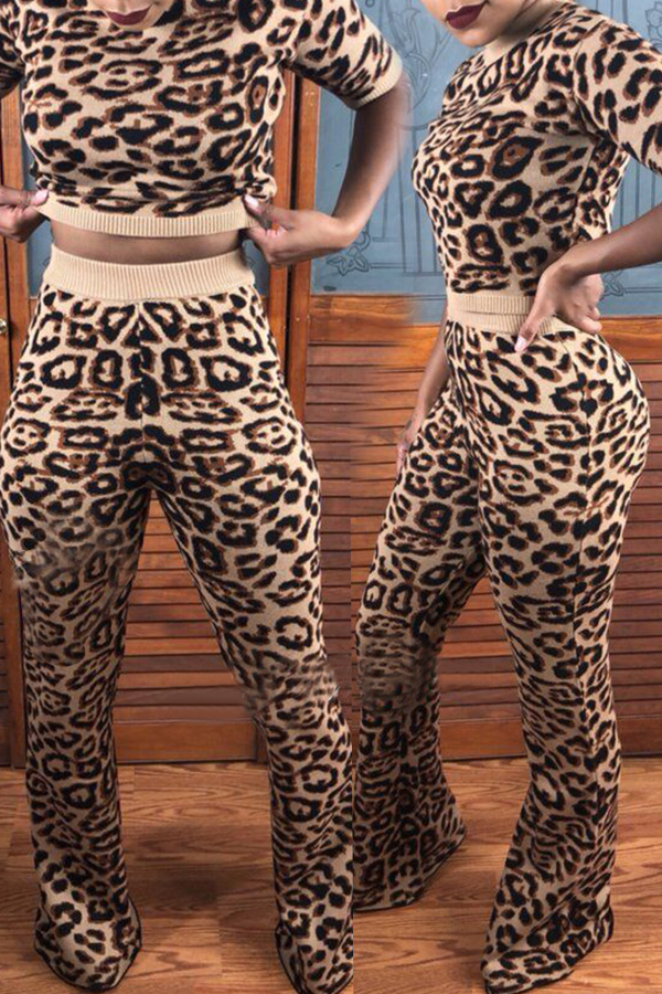 

Lovely Sweet Leopard Print Two-piece Pants Set