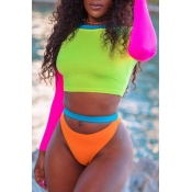 Lovely Casual Patchwork Multicolor Two-piece Swimw