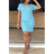Lovely Casual Short Sleeve Light Blue Dress(With E