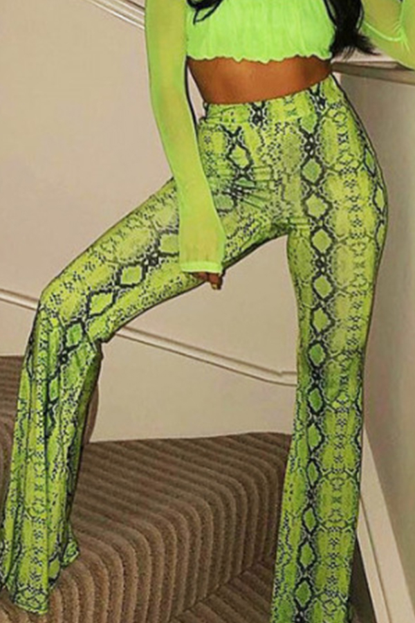 

Lovely Trendy High Elastic Snakeskin Pattern Printed Green Pants