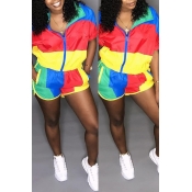Lovely Casual Patchwork Red Two-piece Shorts Set