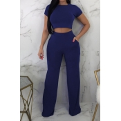 Lovely Casual Short Sleeve Blue Two-piece Pants Se
