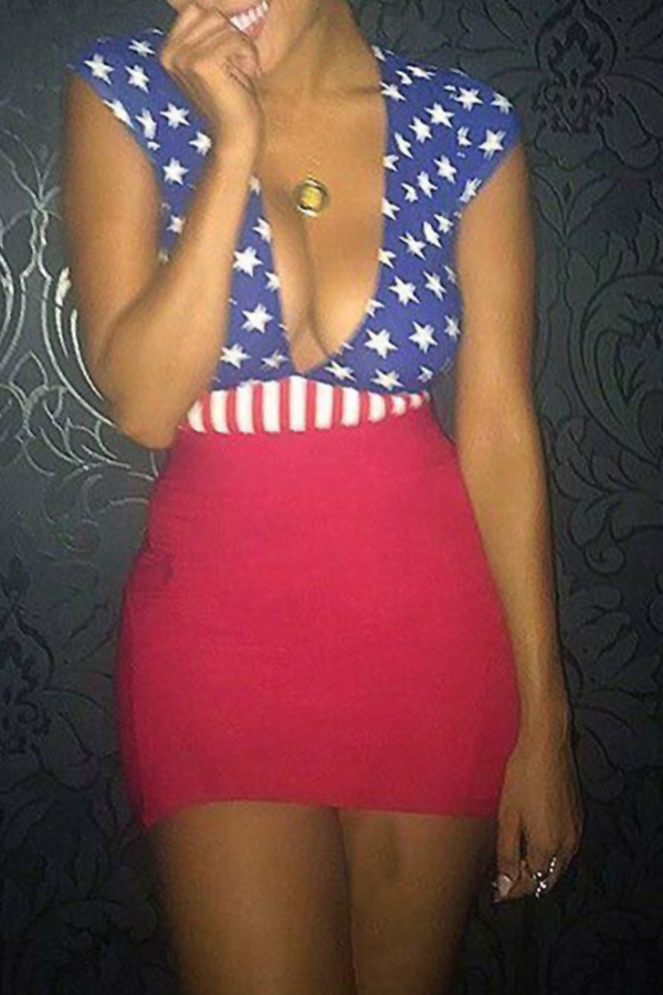 

Lovely Independence Day Printed Patchwork Mini Dress, Multi
