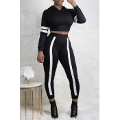 Lovely Sportswear Hooded Collar Patchwork Black Tw