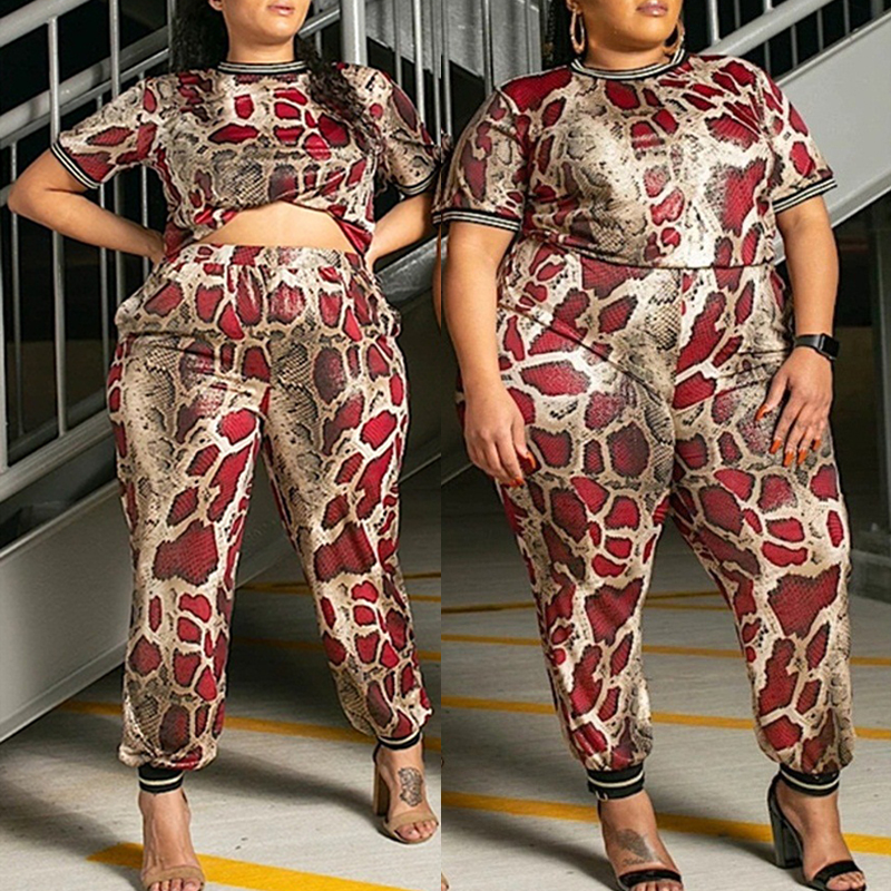 

Lovely Casual Printed Multicolor Plus Size Two-piece Pants Set, Multi