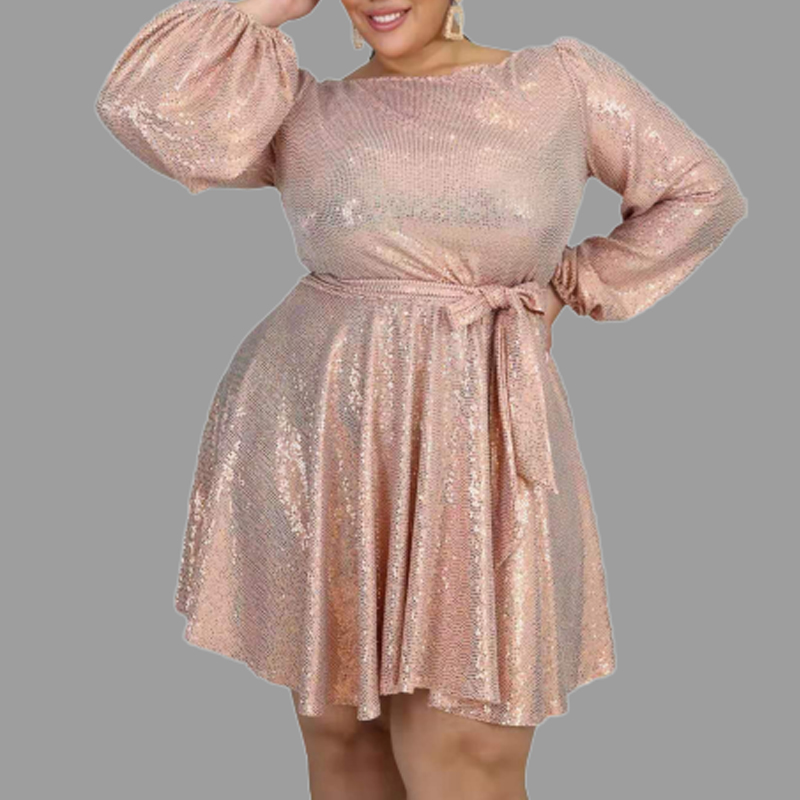 

Lovely Casual O Neck Pink Knee Length Plus Size Dress