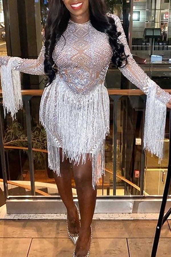 

Lovely Party Tassel Design Silver Mini Dress