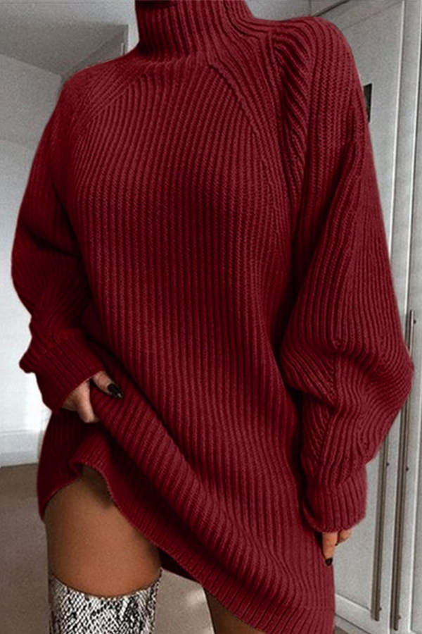 

Lovely Casual Turtleneck Wine Red Mini Dress
