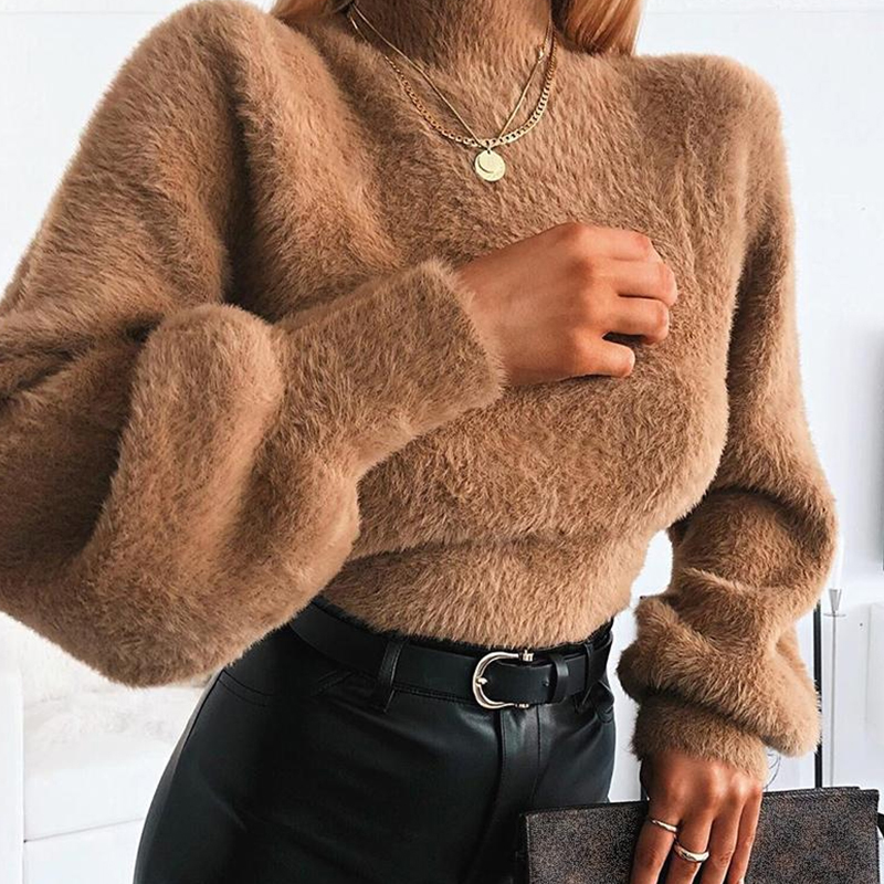 

Lovely Trendy Turtleneck Brown Sweater