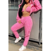 Lovely Casual Basic Pink Two-piece Pants Set