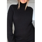 Lovely Casual Turtleneck Black Mini Dress