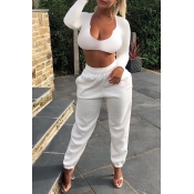 Lovely Chic Crop Top White Two-piece Pants Set