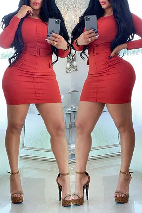 

Lovely Chic Skinny Red Mini Dress