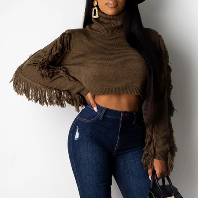 

Lovely Casual Tassel Design Brown Sweater