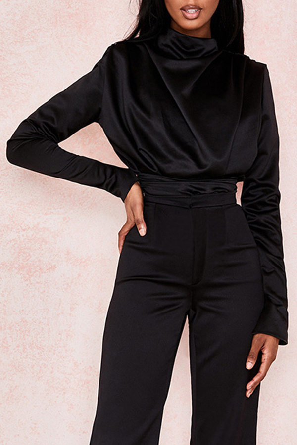 

Lovely Chic Turtleneck Black Blouse
