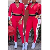 Lovely Chic Striped Red Two-piece Pants Set