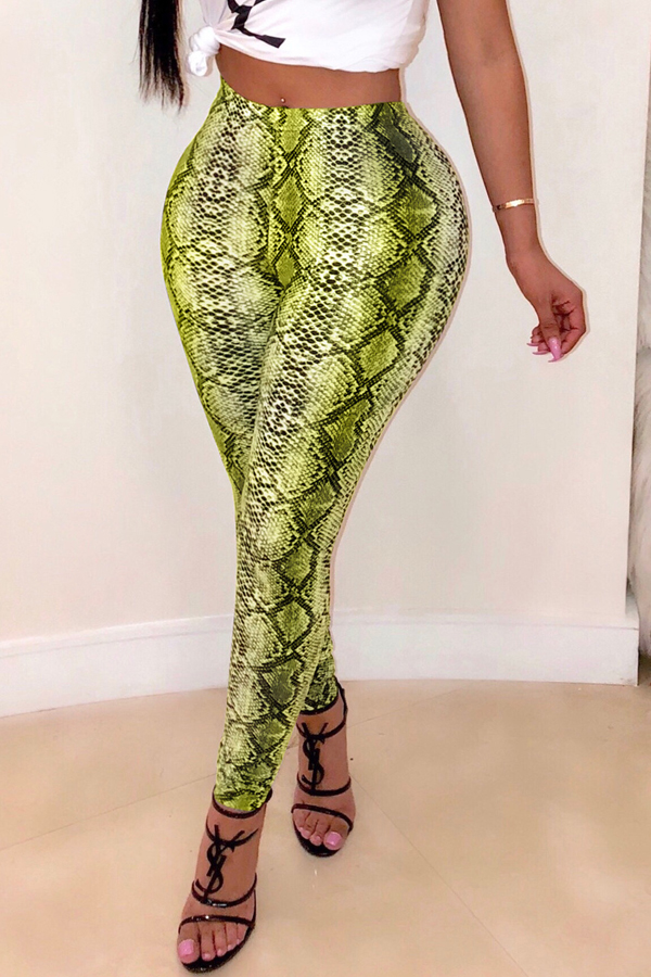 

Lovely Trendy Print Green Pants