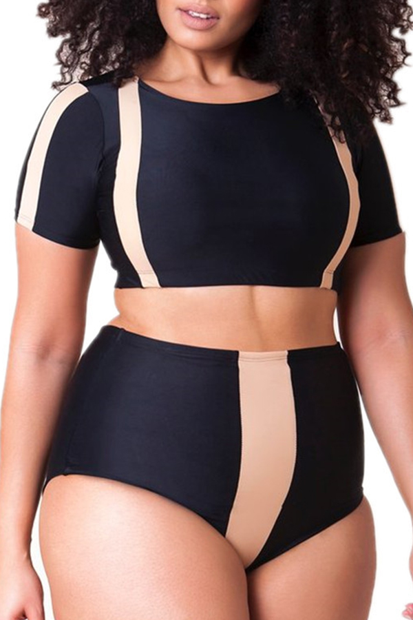 Lovely Patchwork Black Plus Size Two-piece Swimsuit