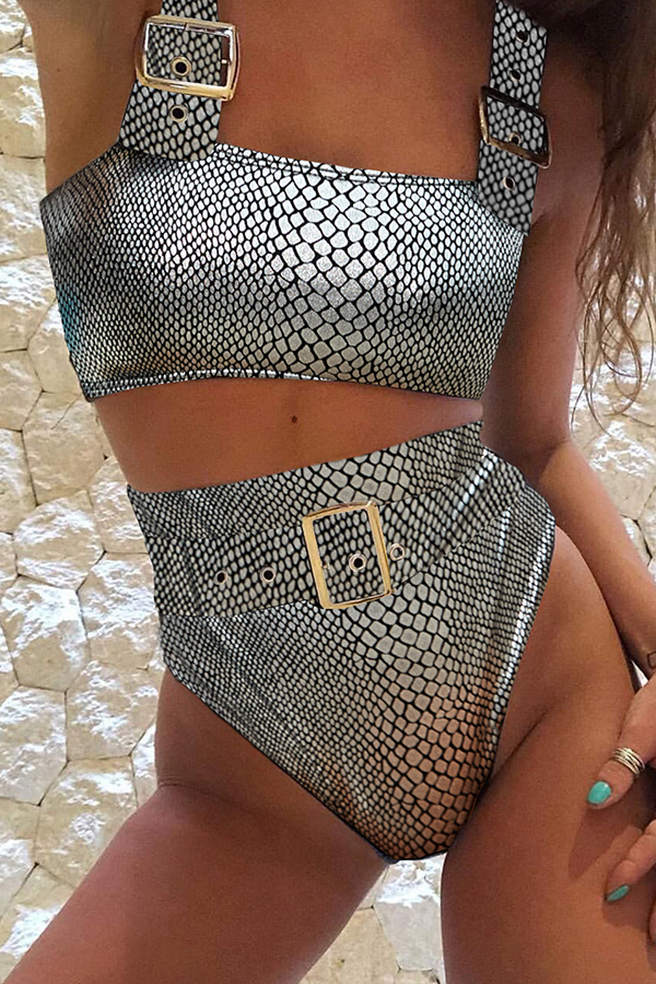 

Lovely Patchwork Silver Two-piece Swimsuit