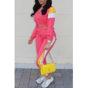 Lovely Casual Patchwork Pink Two-piece Pants Set