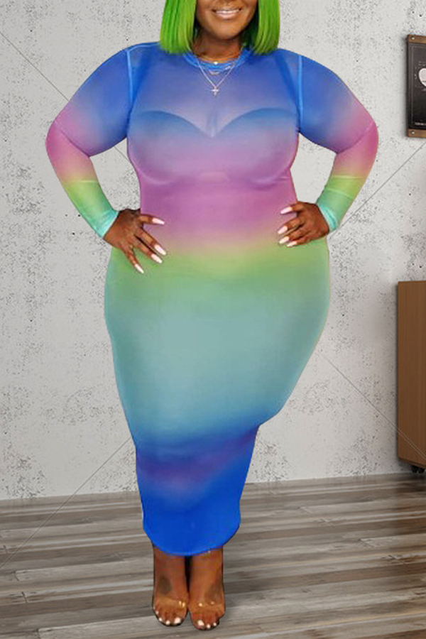 

Lovely Casual Print Multicolor Ankle Length Plus Size Dress, Multi
