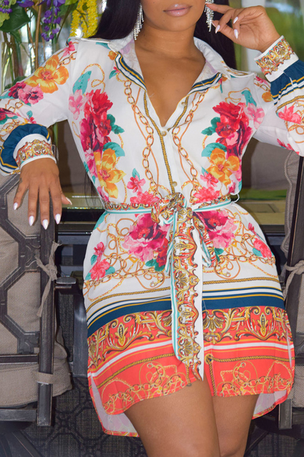 

Lovely Casual Print Multicolor Mini Shirt Dress, Multi