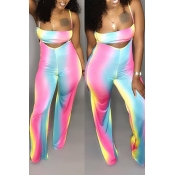 Lovely Casual Print Multicolor Two-piece Pants Set