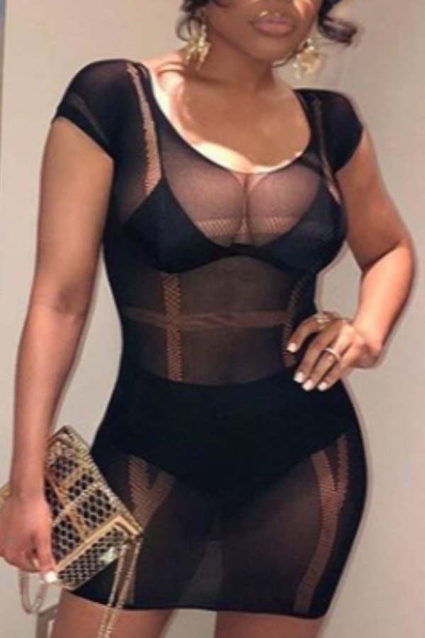 

Lovely Sexy See-through Black Mini Dress