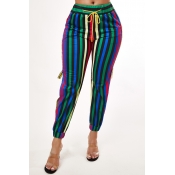 Lovely Casual Striped Multicolor Pants