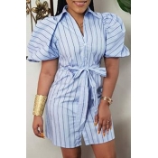 Lovely Casual Striped Blue Mini Dress