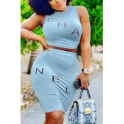 Lovely Casual Letter Blue Two-piece Skirt Set