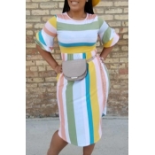 Lovely Sweet Striped Multicolor Knee Length Dress 