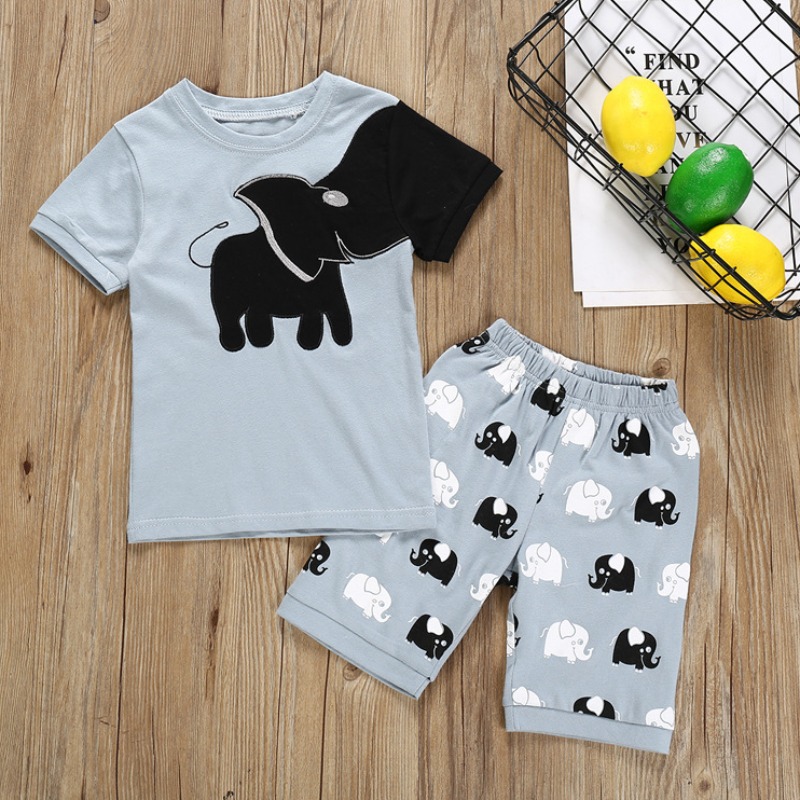 

Lovely Casual Print Grey Boy Two-piece Shorts Set