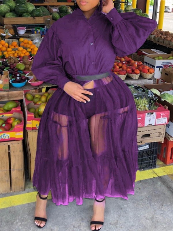 

Lovely Trendy Patchwork See-through Purple Ankle Length Plus Size Dress