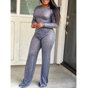 Lovely Chic Basic Skinny Silver Two Piece Pants Se
