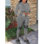 lovely Sportswear O Neck Patchwork Grey Two Piece 
