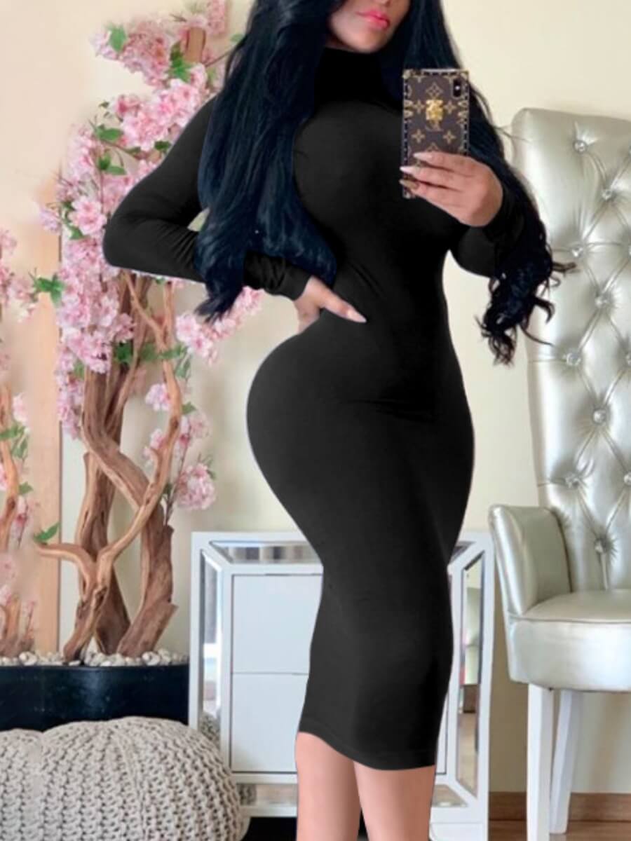 

Lovely Casual Turtleneck Basic Skinny Black Knee Length Dress