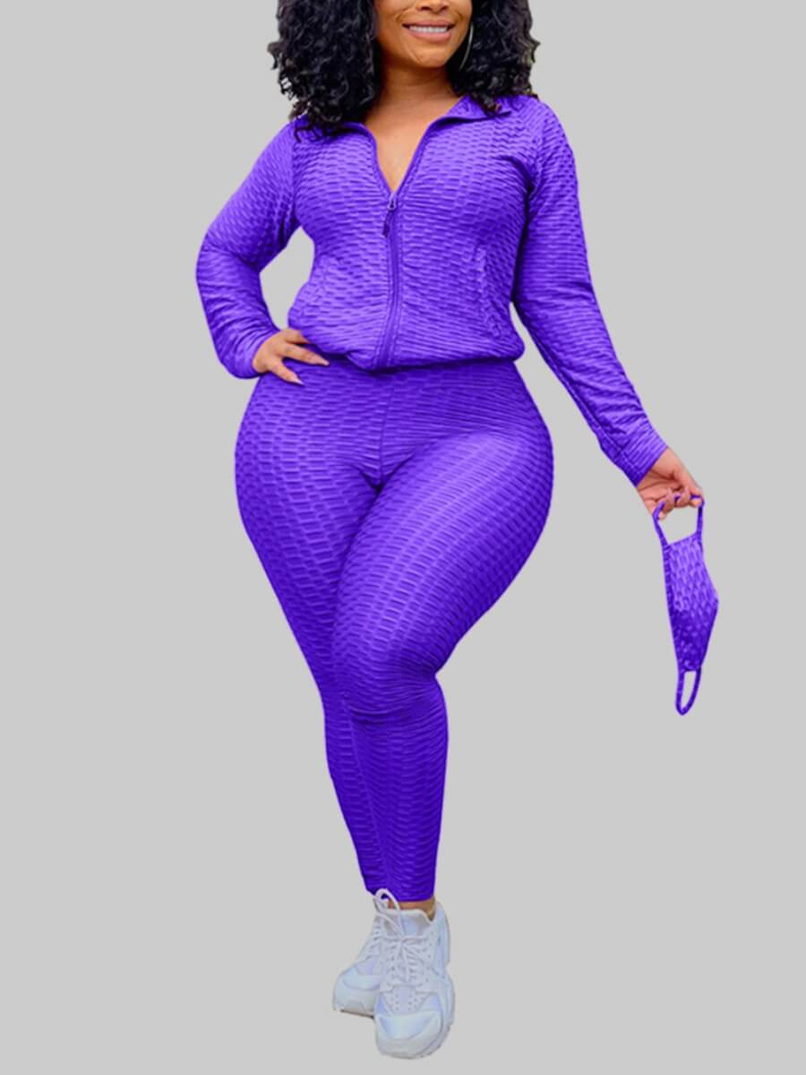 

Lovely Casual Turndown Collar Zipper Design Purple Plus Size Two-piece Pants Set