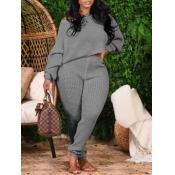 Lovely Casual O Neck Basic Grey Plus Size Two-piec