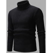 Lovely Men Trendy Turtleneck Basic Skinny Black Sw