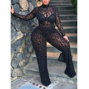 LW SXY Plus Size See-through Jumpsuit