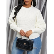Lovely O Neck White Sweater