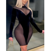 LW SXY Round Neck See-through Bodycon Dress