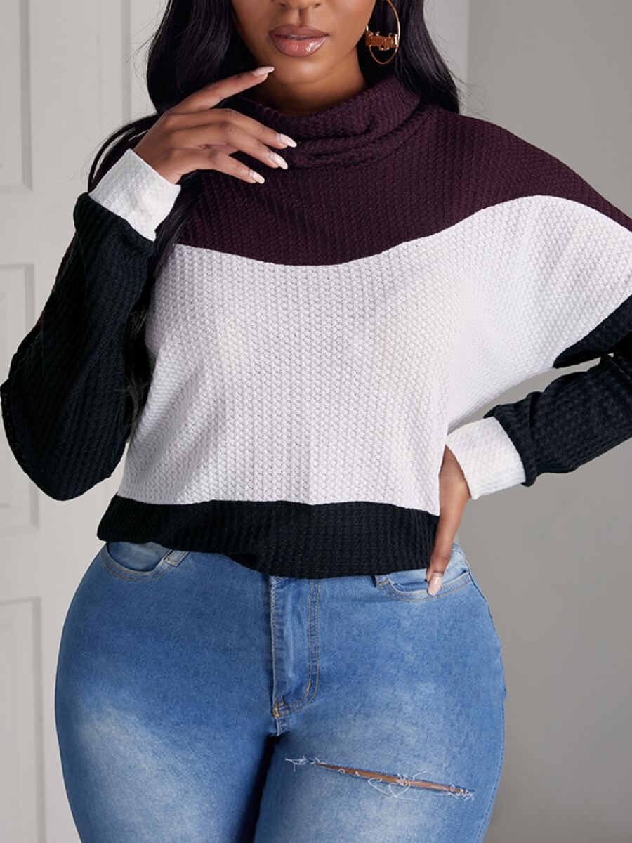 

Lovely Casual Half A Turtleneck Color-lump Patchwork White Sweater