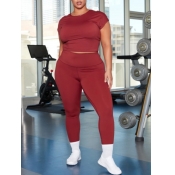 LW Plus Size Casual Twisted Hollow-out Wine Red Tw