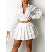 LW Turndown Collar Pleated Dress