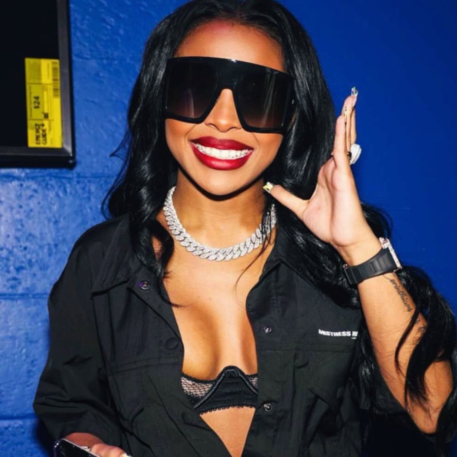 LW Wide Frame Sunglasses